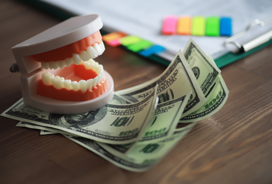 Dental model with dollar bills representing how Smileie helps you save money on clear aligners without compromising your smile.