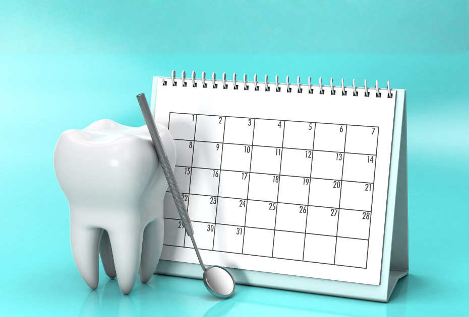 Tooth model beside a monthly calendar symbolizing clear aligner treatment timeline and dental planning